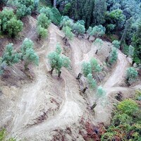 Остров в Греции, Ионические острова, Корфу, 5200 кв.м.