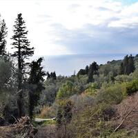 Остров в Греции, Ионические острова, Корфу, 5200 кв.м.