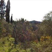Island in Greece, Ionian Islands, Corfu, 20000 sq.m.