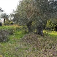 Island in Greece, Ionian Islands, Corfu, 20000 sq.m.