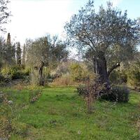 Island in Greece, Ionian Islands, Corfu, 20000 sq.m.