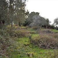 Island in Greece, Ionian Islands, Corfu, 20000 sq.m.