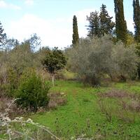 Island in Greece, Ionian Islands, Corfu, 20000 sq.m.