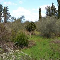 Island in Greece, Ionian Islands, Corfu, 20000 sq.m.