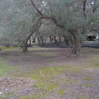 Island in Greece, Ionian Islands, Corfu, 2075 sq.m.