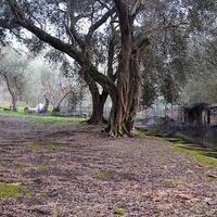 Island in Greece, Ionian Islands, Corfu, 2075 sq.m.