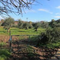 Island in Greece, Ionian Islands, Corfu, 9000 sq.m.