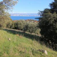 Island in Greece, Ionian Islands, Corfu, 12500 sq.m.