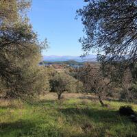 Island in Greece, Ionian Islands, Corfu, 12500 sq.m.