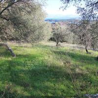 Island in Greece, Ionian Islands, Corfu, 12500 sq.m.