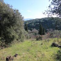 Island in Greece, Ionian Islands, Corfu, 12500 sq.m.