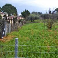 Island in Greece, Ionian Islands, Corfu, 5200 sq.m.