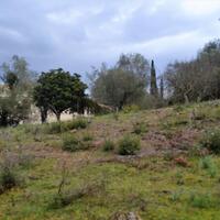 Island in Greece, Ionian Islands, Corfu, 5200 sq.m.