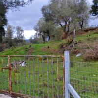 Island in Greece, Ionian Islands, Corfu, 5200 sq.m.