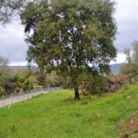 Island in Greece, Ionian Islands, Corfu, 5200 sq.m.