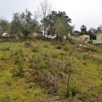 Island in Greece, Ionian Islands, Corfu, 5200 sq.m.