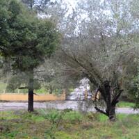 Island in Greece, Ionian Islands, Corfu, 5200 sq.m.