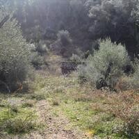 Остров в Греции, Ионические острова, Корфу, 4930 кв.м.