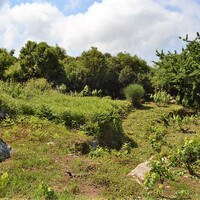 Остров в Греции, Ионические острова, Корфу, 1119 кв.м.