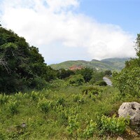 Остров в Греции, Ионические острова, Корфу, 1119 кв.м.