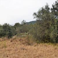 Остров в Греции, Ионические острова, Корфу, 5500 кв.м.