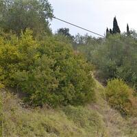 Остров в Греции, Ионические острова, Корфу, 3500 кв.м.