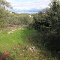 Island in Greece, Ionian Islands, Corfu, 4000 sq.m.