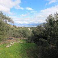 Island in Greece, Ionian Islands, Corfu, 4000 sq.m.