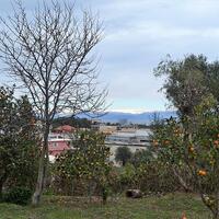 Island in Greece, Ionian Islands, Corfu, 21000 sq.m.