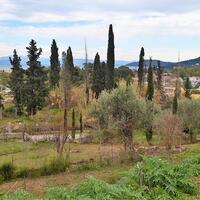 Island in Greece, Ionian Islands, Corfu, 21000 sq.m.