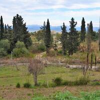 Island in Greece, Ionian Islands, Corfu, 21000 sq.m.