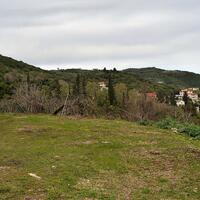 Island in Greece, Ionian Islands, Corfu, 21000 sq.m.