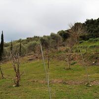 Island in Greece, Ionian Islands, Corfu, 21000 sq.m.