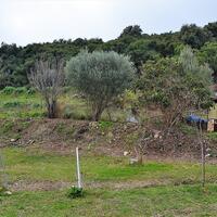 Island in Greece, Ionian Islands, Corfu, 21000 sq.m.