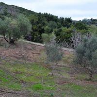 Island in Greece, Ionian Islands, Corfu, 21000 sq.m.