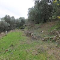 Island in Greece, Ionian Islands, Corfu, 9500 sq.m.