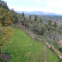 Island in Greece, Ionian Islands, Corfu, 9500 sq.m.