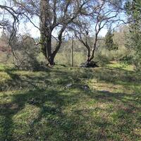 Island in Greece, Ionian Islands, Corfu, 6000 sq.m.