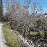 Island in Greece, Ionian Islands, Corfu, 2600 sq.m.