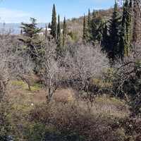 Island in Greece, Ionian Islands, Corfu, 2600 sq.m.