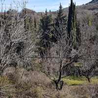 Island in Greece, Ionian Islands, Corfu, 2600 sq.m.