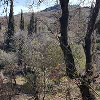 Island in Greece, Ionian Islands, Corfu, 2600 sq.m.
