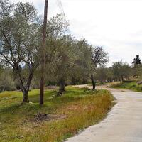 Island in Greece, Ionian Islands, Corfu, 5304 sq.m.