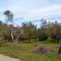 Island in Greece, Ionian Islands, Corfu, 5304 sq.m.