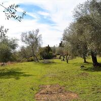 Island in Greece, Ionian Islands, Corfu, 5304 sq.m.