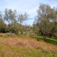 Island in Greece, Ionian Islands, Corfu, 5304 sq.m.