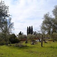 Island in Greece, Ionian Islands, Corfu, 5304 sq.m.