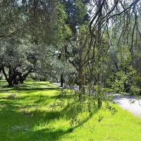 Island in Greece, Ionian Islands, Corfu, 4000 sq.m.
