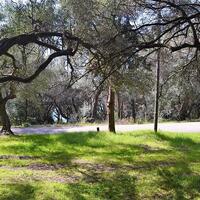 Island in Greece, Ionian Islands, Corfu, 4000 sq.m.