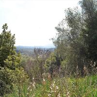 Остров в Греции, Ионические острова, Корфу, 4370 кв.м.